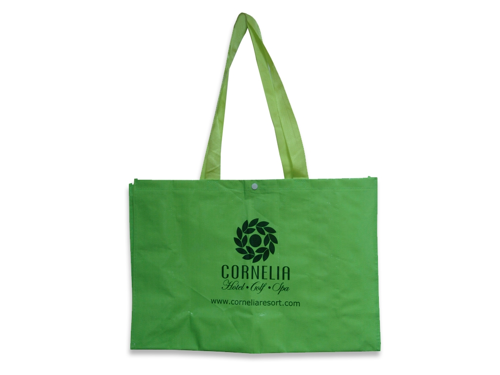 Beach Bag